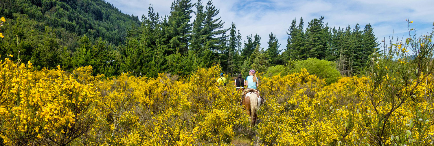 Ghost Mountain Ranch RV Resort Contact Us