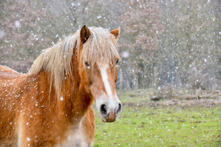 Activities - Ghost Mountain Ranch Resort